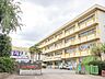 周辺：周辺環境-小学校(170m)大宮別所小学校