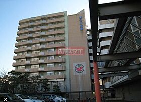 ユリカロゼＡＺ亀戸  ｜ 東京都江東区亀戸４丁目38-6（賃貸マンション1DK・3階・25.50㎡） その16