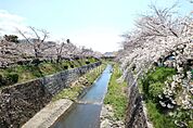 山崎川の外観