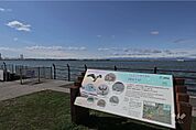 稲永公園の外観