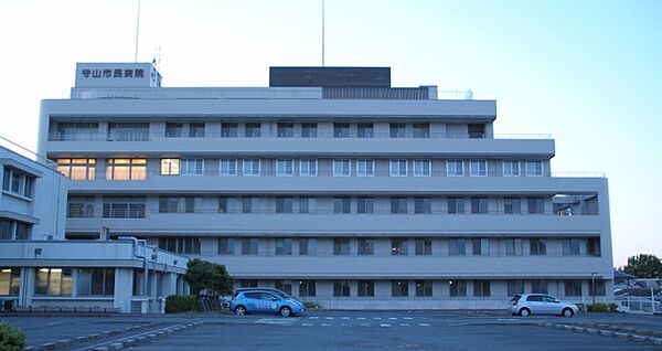 愛知県名古屋市守山区町北(賃貸アパート2LDK・3階・41.91㎡)の写真 その21