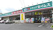 ドラッグセイムス 守山新城店（874m）