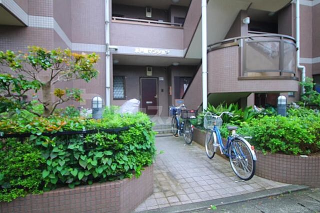 5 / 16