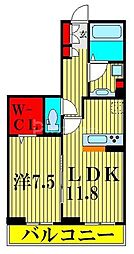 グレイス 1LDKの間取図画像