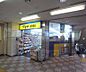 周辺：マツモトキヨシ ミュー阪急桂店まで335m 駅ナカのドラッグストア。日用品から化粧品まで幅広い品揃え