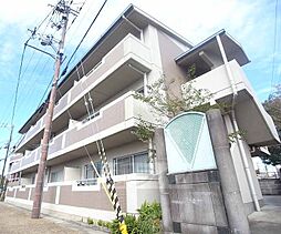 パトリード有栖