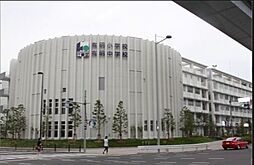 【小学校】区立有明小学校まで571ｍ