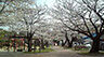 周辺：【公園】山王公園まで818ｍ