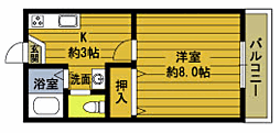 フローレンス海岸通りC 1Kの間取図画像
