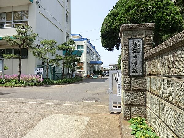 周辺を拡大表示