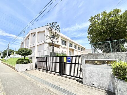 小学校 950m 内野小学校