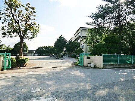 小学校 400m 柏市立柏第八小学校