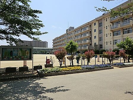 小学校 630m 松戸市立横須賀小学校