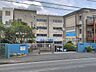 周辺：中学校 1600m 柏市立逆井中学校