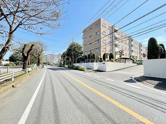 ここから始まる...