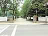 周辺：中学校 2000m 柏市立柏中学校