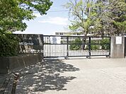 小学校 450m 八千代市立大和田西小学校