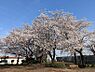 周辺：公園 1000m 滝の下公園