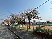 よこて公園