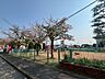 周辺：よこて公園