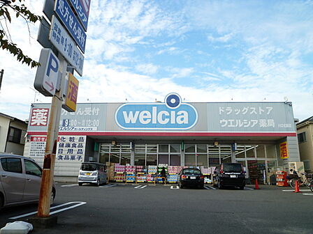 ウェルシア川口北園店(820m)