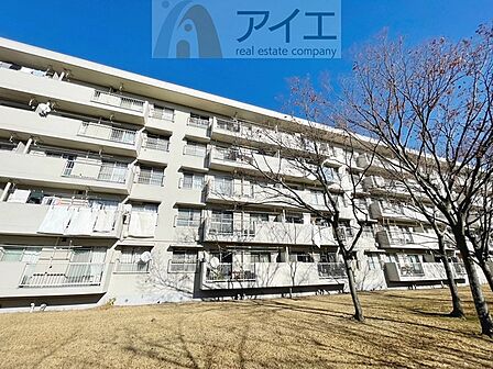 朝から日差しいっぱいの、明るい空間でのびのび過ごせます