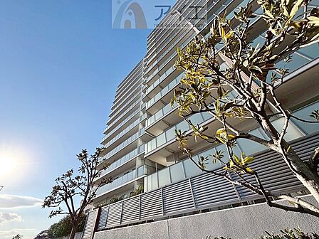 溢れる陽光でご家族の笑顔も輝く住まい