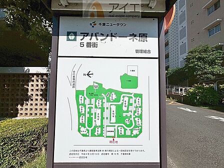 朝から日差しいっぱいの、明るい空間でのびのび過ごせます