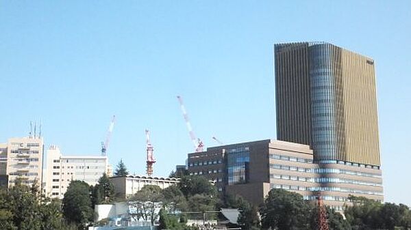 ロフトハウス銀河 207｜東京都八王子市東中野(賃貸アパート1K・2階・19.20㎡)の写真 その17