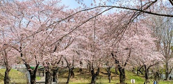 農試公園 83...