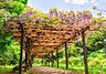 周辺：精進河畔公園 590m