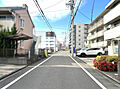 道路（東から西...