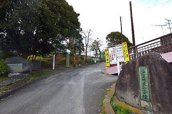 周辺を拡大表示