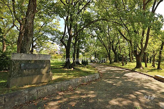 山下公園と守山...