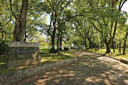 山下公園と守山プールの外観