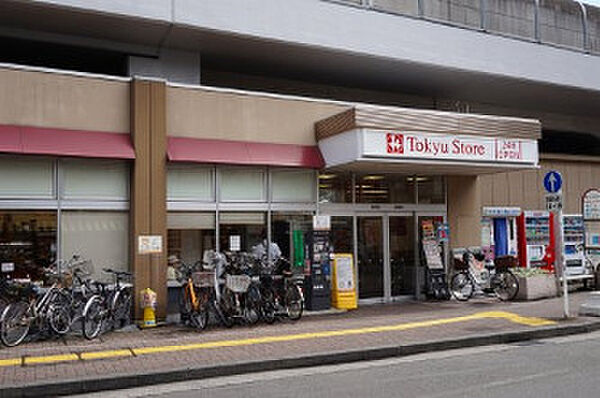 ラフィスタ新丸子