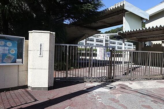 養治小学校 3...