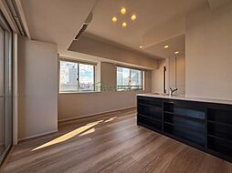 東京メトロ日比谷線 六本木駅 徒歩7分の賃貸マンション 12階1LDKのリビング/ダイニング