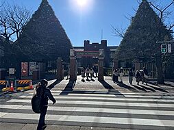 立教大学まで約260m