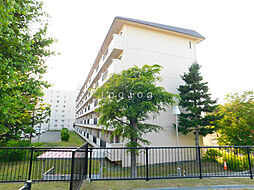 札幌市営東豊線 月寒中央駅 徒歩12分の賃貸マンション