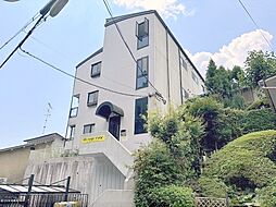 ジーアップ・レイ