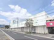 フレンドマート　雄琴駅前店まで700メートル