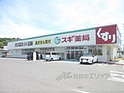 スギ薬局　彦根中央店まで300メートル