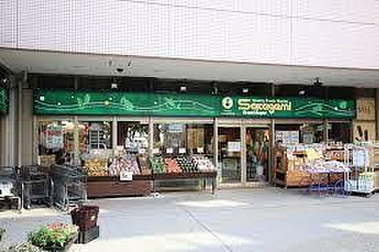 周辺 スカイズタワー＆ガーデン 13階/-