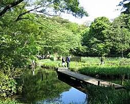 亀の甲緑地（徒歩170m）