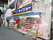 薬のセイジョー 450m