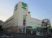 サミット 762m