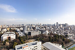 【空と都心を一望】視界を遮るもののない、圧倒的なパノラマビュー。東京スカイツリーを遠望し、都心の煌めきと豊かな緑を同時に享受できる贅沢なロケーションです。開放感に包まれる、タワーライフの真髄がここに。