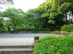 ここからまっすぐ東京タワーが見えます。都内有数の桜の名所。ボートにも乗れます。