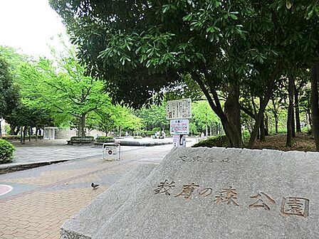 夏場に水遊びのできるじゃぶじゃぶ池があります。子どもたちが走り回って遊べる広場もある、自然豊かな公園です。